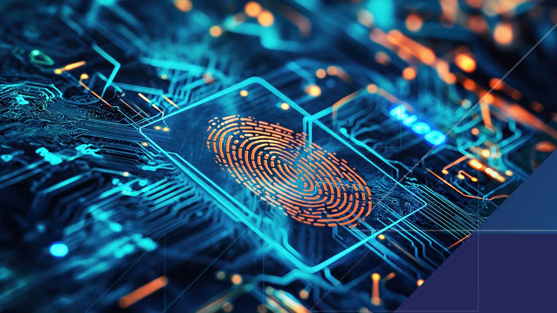 Bluefin Patent Expanding Data Security Beyond Payments